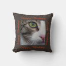 Recherche de chats sauvages coussins Toute personne