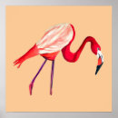 Search for pretty flamingo posters Pink