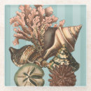 Search for conch coasters Coral reef