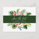 Search for green hibiscus postcards Botanical