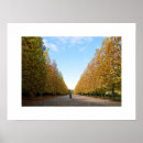 Search for plane tree posters Trees
