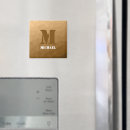 Search for brown magnets Initial
