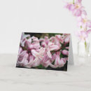 Search for fragrant cards Floral