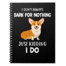 Recherche de bigle Chiot