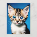 Search for fluffy postcards Adorable kitten