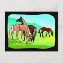 Recherche de herbe sauvage cartes postales Cheval