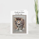 Search for lost cards Kitty