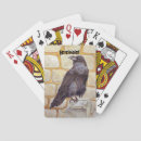 Search for raven playing cards Wildlife