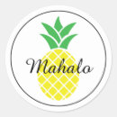 Search for pineapple print stickers Minimalist