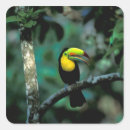 Search for habitat stickers Park