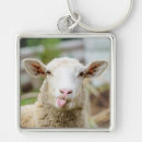 Search for shepherds square keychains Sheep
