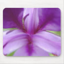 Search for centres mousepads Floral