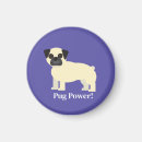 Search for cute fawn magnets Pug