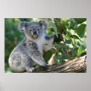 Recherche de gomme posters Mignon