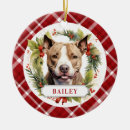Recherche de chiot pitbull ornements Vacances