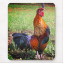 Search for rooster mousepads Photography