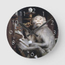Search for monkey clocks Humor