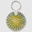 Search for succulent plants keychains Funny