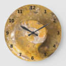 Search for ammonite art Geology