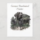 Search for german shorthair pointer postcards Gsp