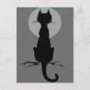 Recherche de chat blanc cartes postales Monochrome