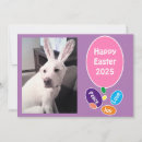 Search for dog easter cards Funny