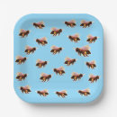Search for bee fly Bug