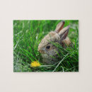 Recherche de lapins puzzles Animaux mignons