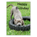 Search for staffordshire bull terrier cards Staffy