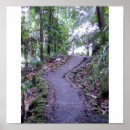 Search for el yunque posters Jungle