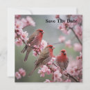 Search for blossom tree Bird