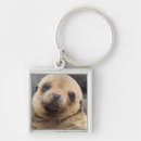Search for galapagos islands keychains Ecuador