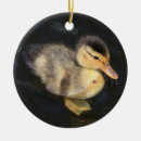 Search for duckling ornaments Baby