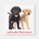 Search for dog breed magnets Labrador retriever