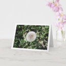 Search for flower seed cards Floral