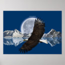 Search for flying eagle art Bald eagles