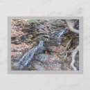 Recherche de flamme cartes postales Pour tous