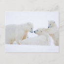 Recherche de 1002 posters Animal
