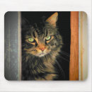 Recherche de fenêtre tapis souris Extérieur