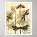 Recherche de animaux colorés posters Nature