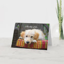 Search for lonely dog cards Puppy