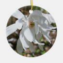 Search for magnolia flower ornaments White