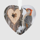 Search for woodpecker ornaments Snow