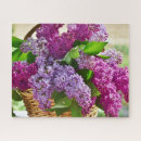 Recherche de lilas bush Rose