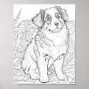 Recherche de chien berger australien posters Dog