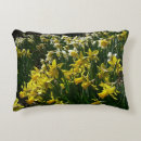 Search for daffodil pillows White