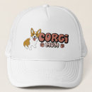 Recherche de corgi casquettes Chiot