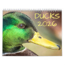 Recherche de wildlife calendriers Oiseaux