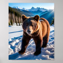 Recherche de ours brun posters Mammifère