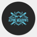 Search for alpine ski stickers Skier